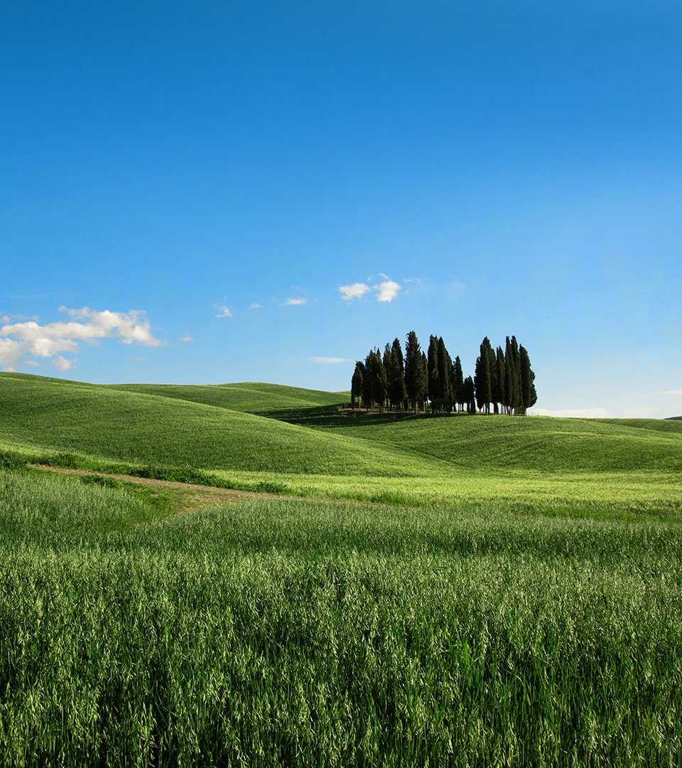 Discover il Borgo
